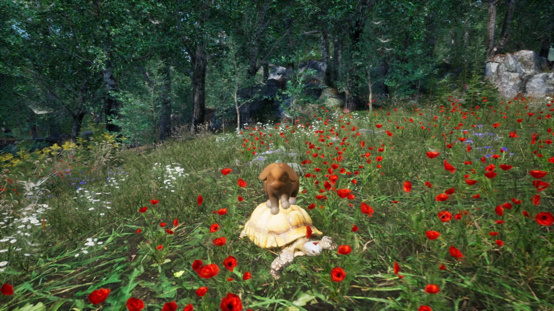 Изображение игры: Rabbit Meadow