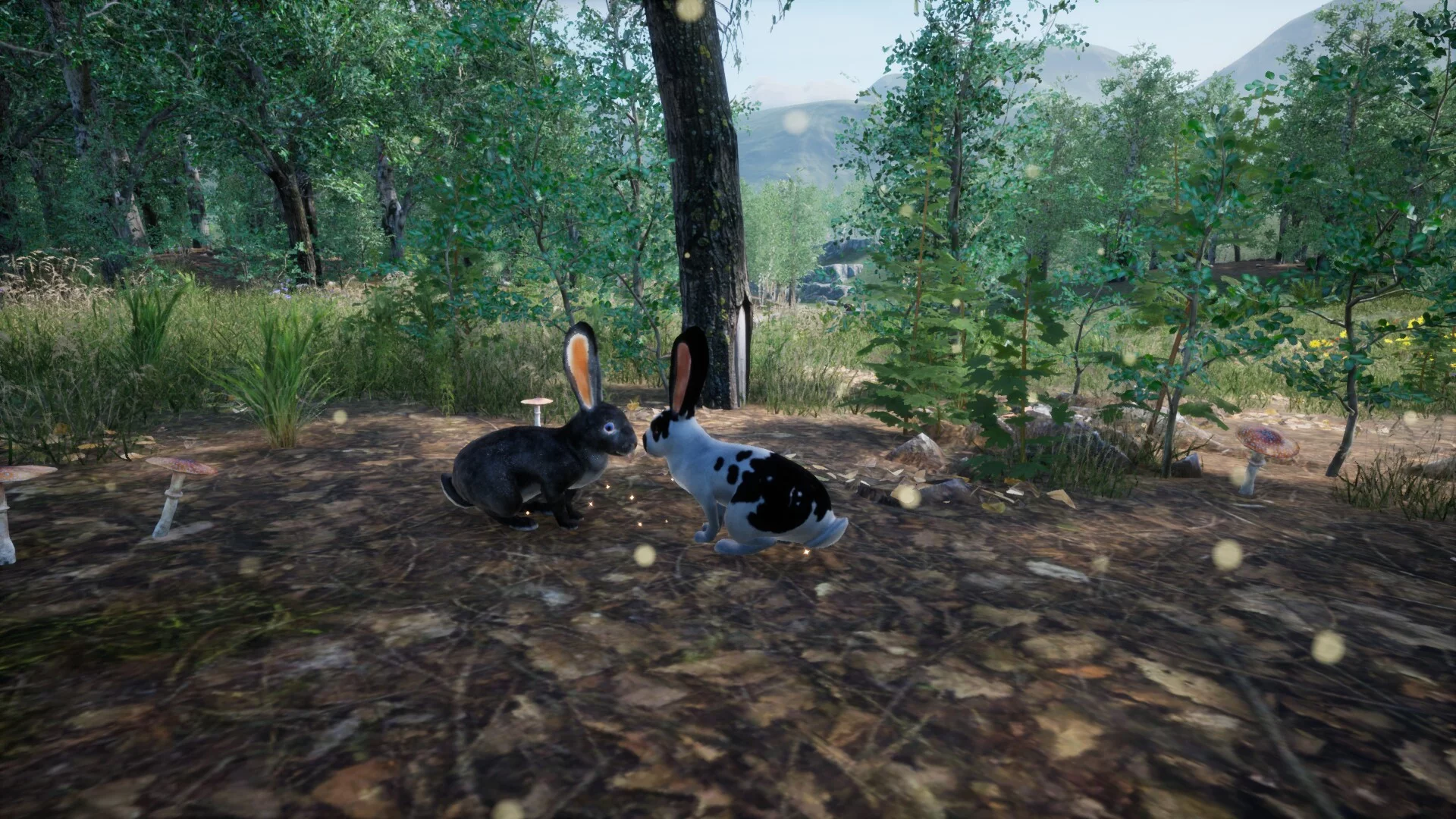 Изображение игры: Rabbit Meadow