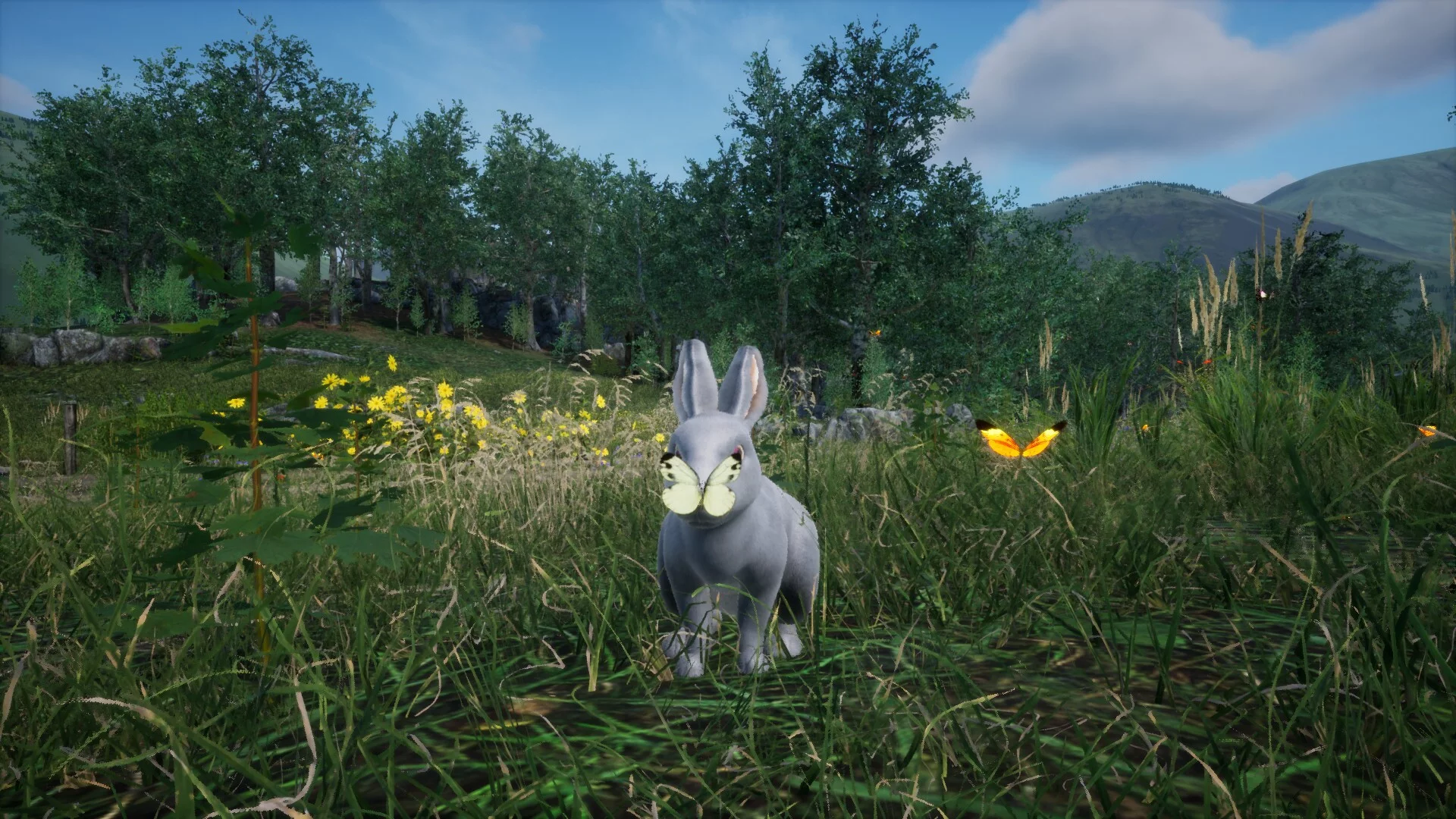 Изображение игры: Rabbit Meadow