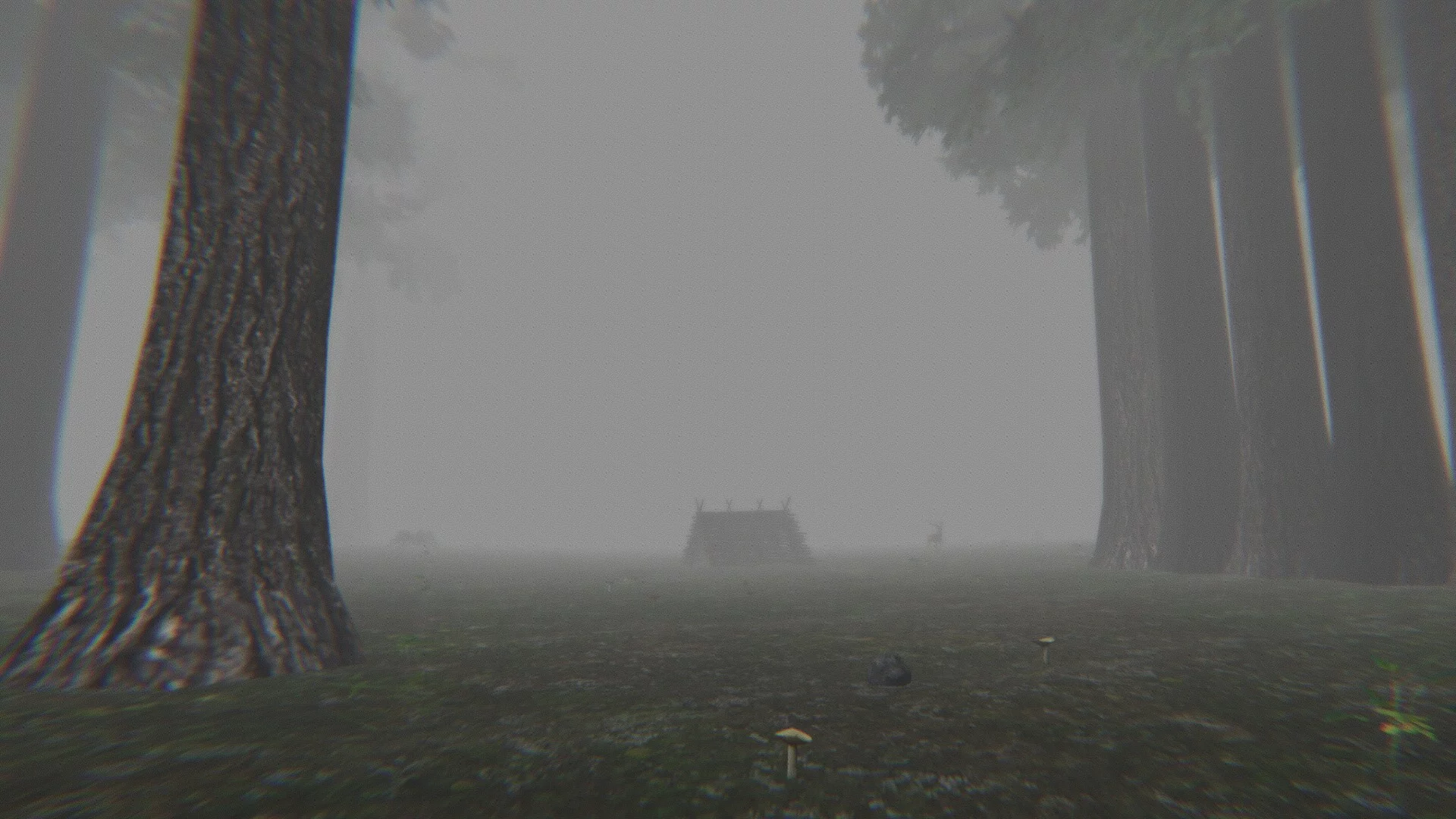 Изображение игры: Trapped in the Forest