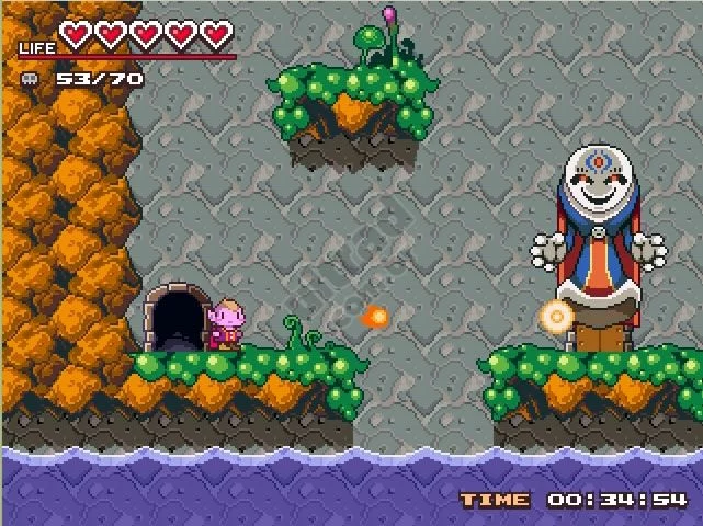 Изображение игры: Akuji the Demon