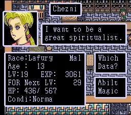 Изображение игры: Paladin's Quest