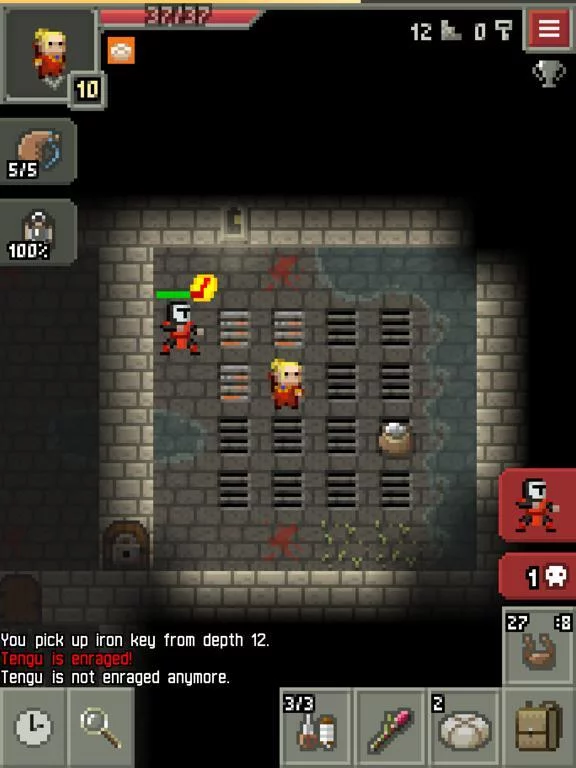 Изображение игры: Yet Another Pixel Dungeon