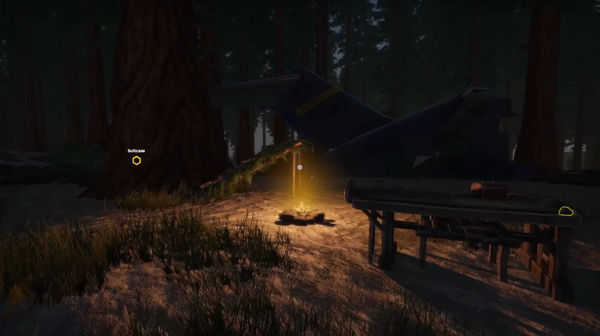 Изображение игры: Missing Plane: Survival
