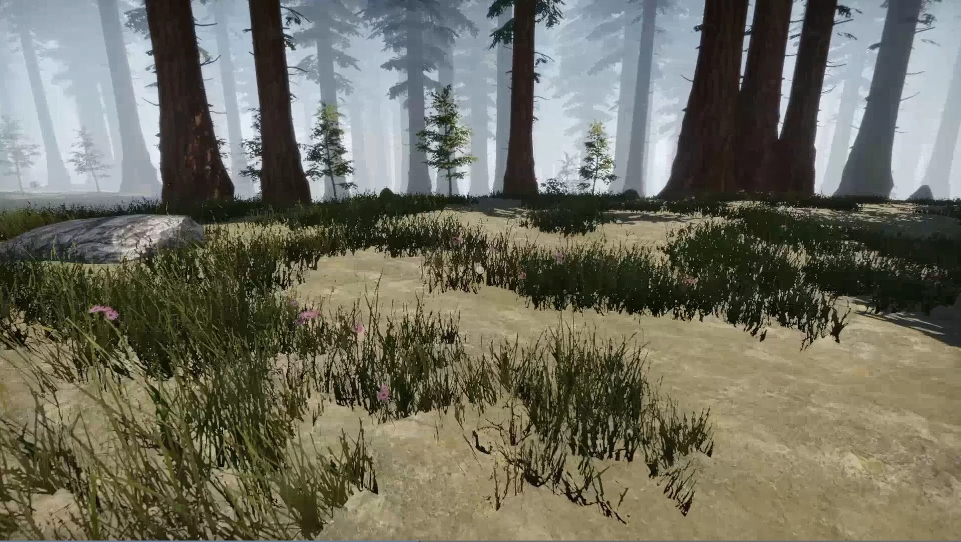 Изображение игры: Missing Plane: Survival