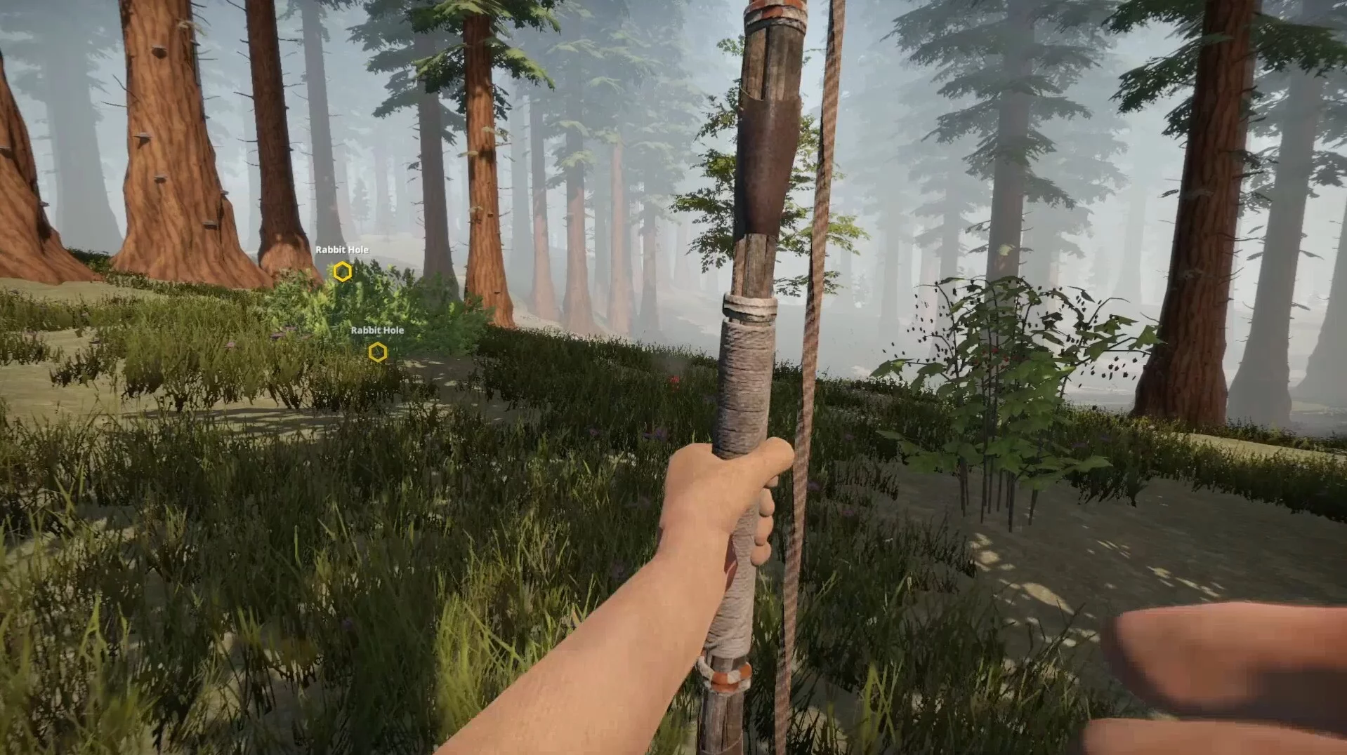 Изображение игры: Missing Plane: Survival
