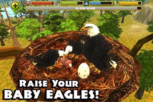 Изображение игры: Eagle Simulator