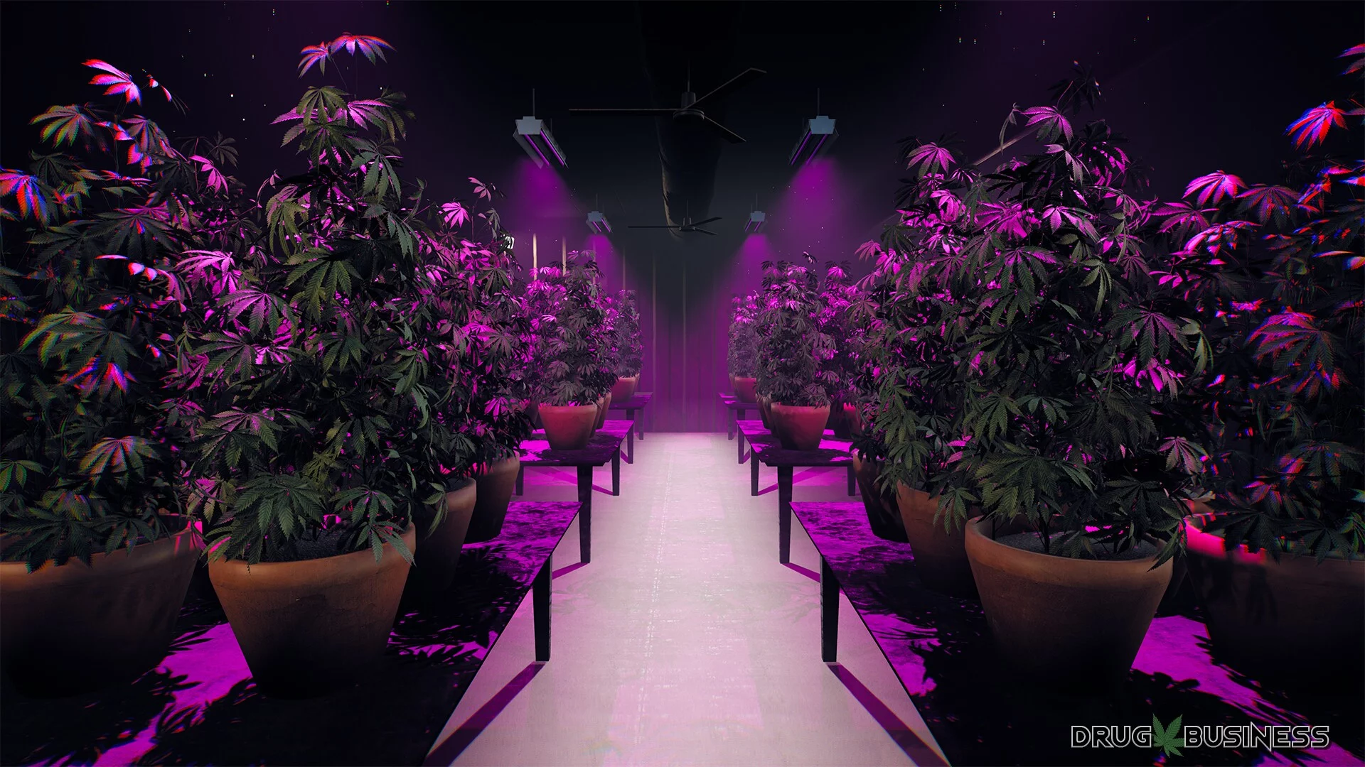 Изображение игры: Drug Business