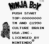 Изображение игры: Ninja Boy