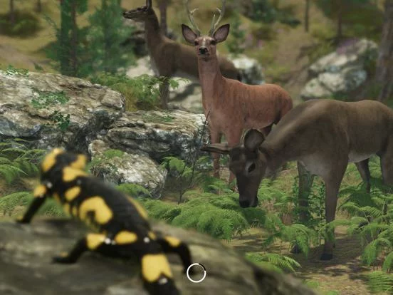 Изображение игры: VR Zoo Animals Roller Coaster