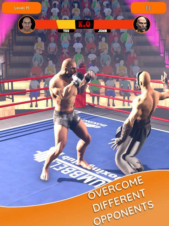 Изображение игры: Boxer Mania