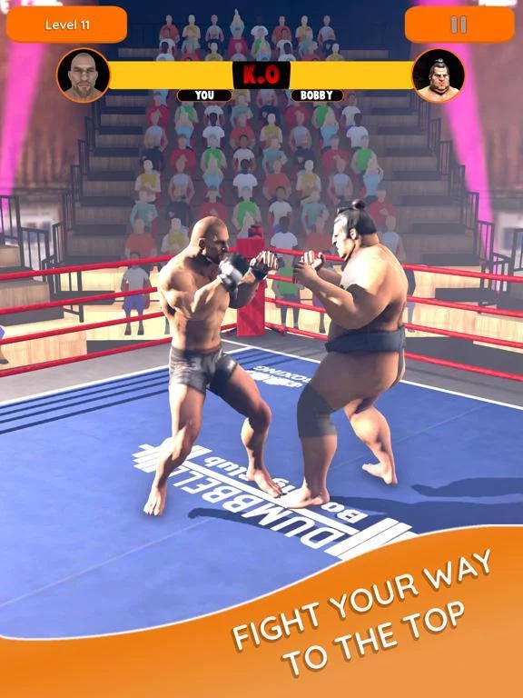 Изображение игры: Boxer Mania