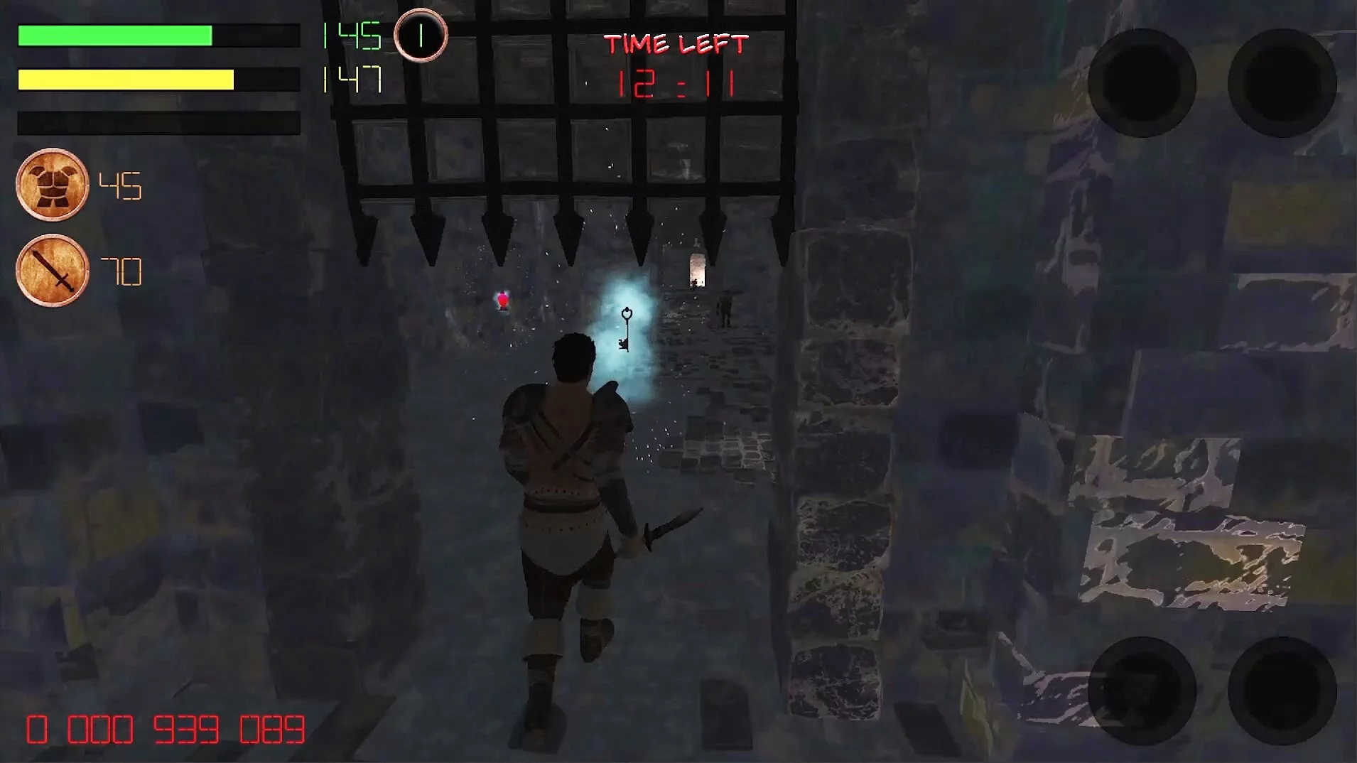 Изображение игры: Dungeon Avenger