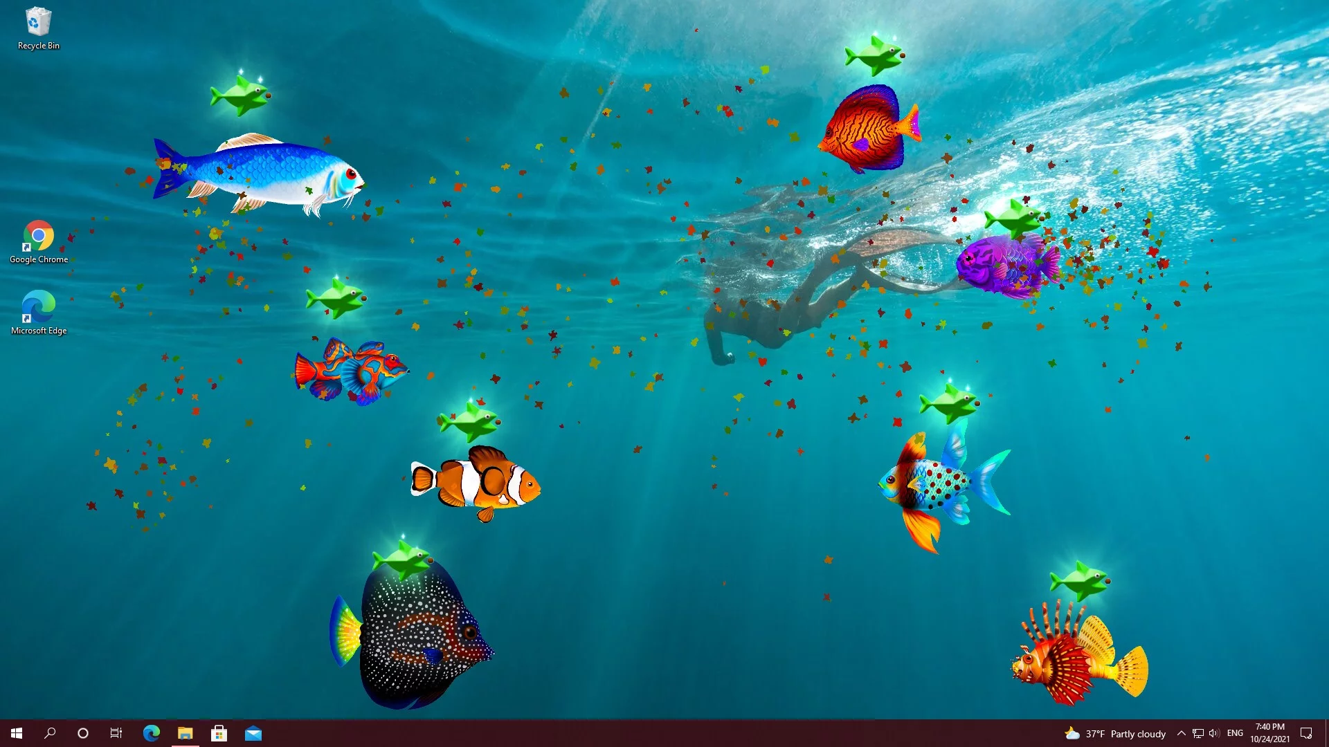 Изображение игры: Virtual Aquarium - Overlay Desktop Game