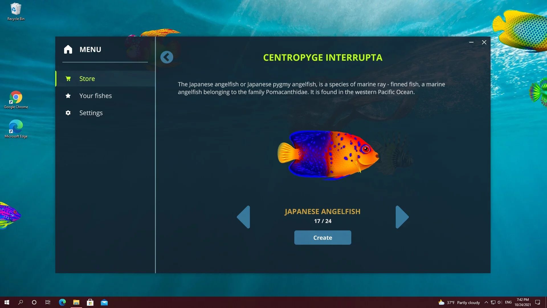 Изображение игры: Virtual Aquarium - Overlay Desktop Game
