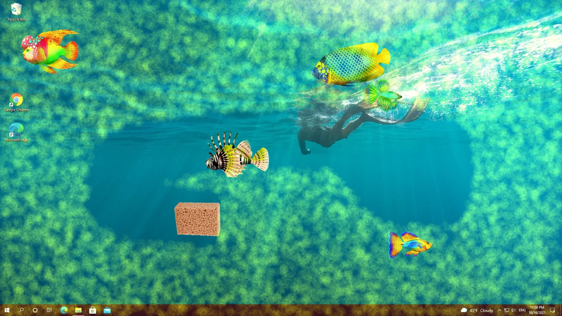 Изображение игры: Virtual Aquarium - Overlay Desktop Game