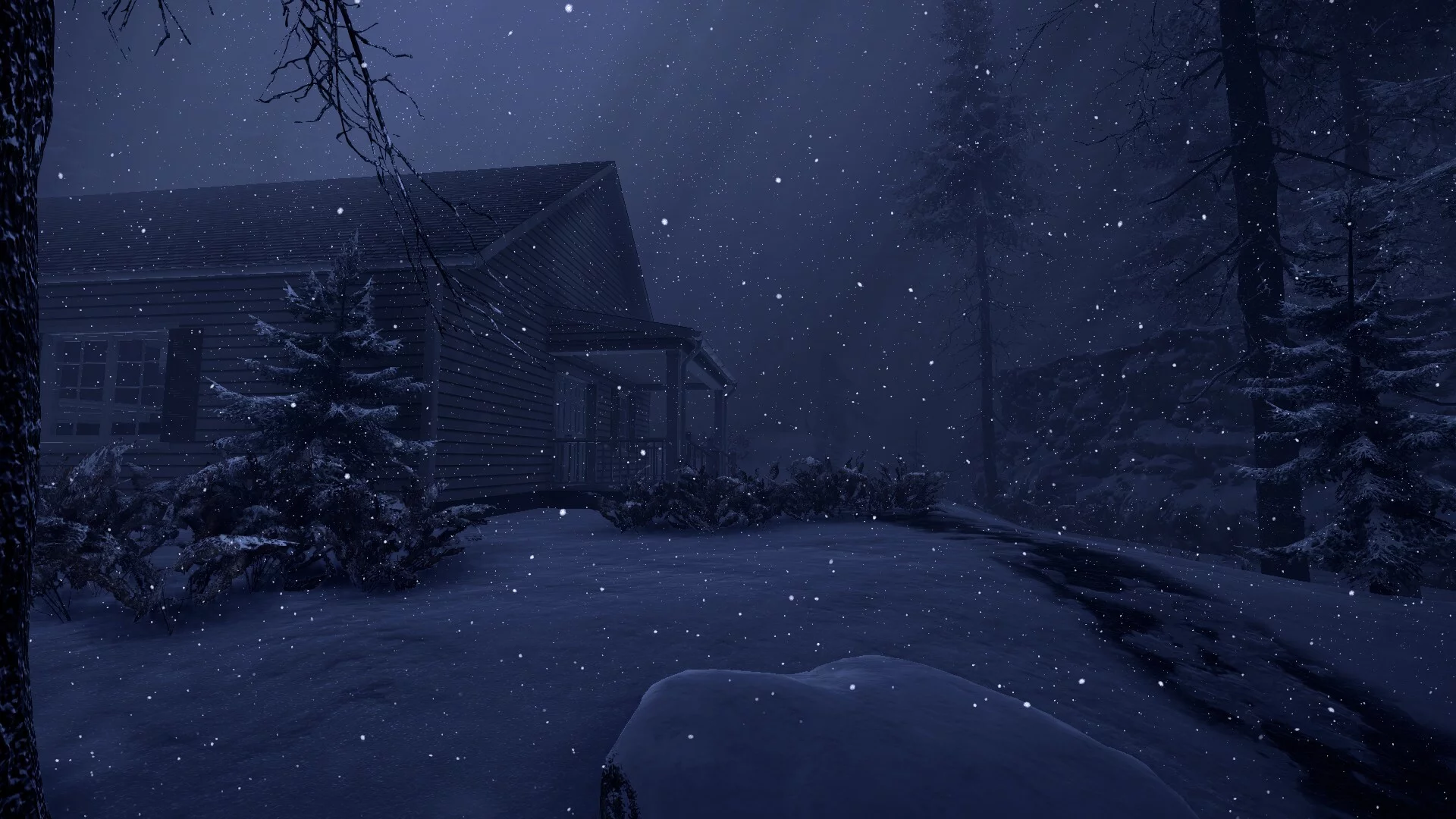 Изображение игры: Snowstorm of despair