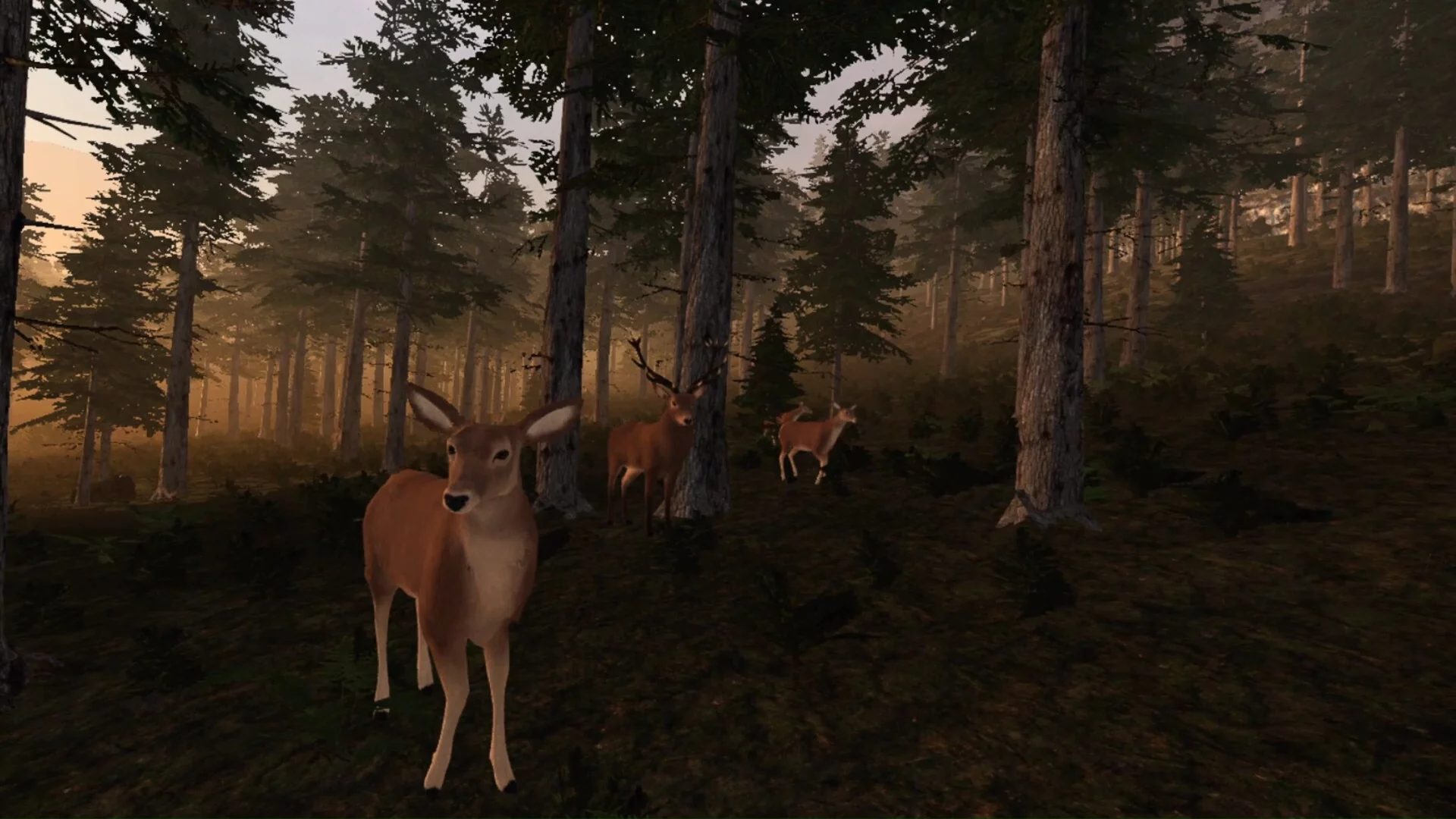 Изображение игры: Virtual Hunter