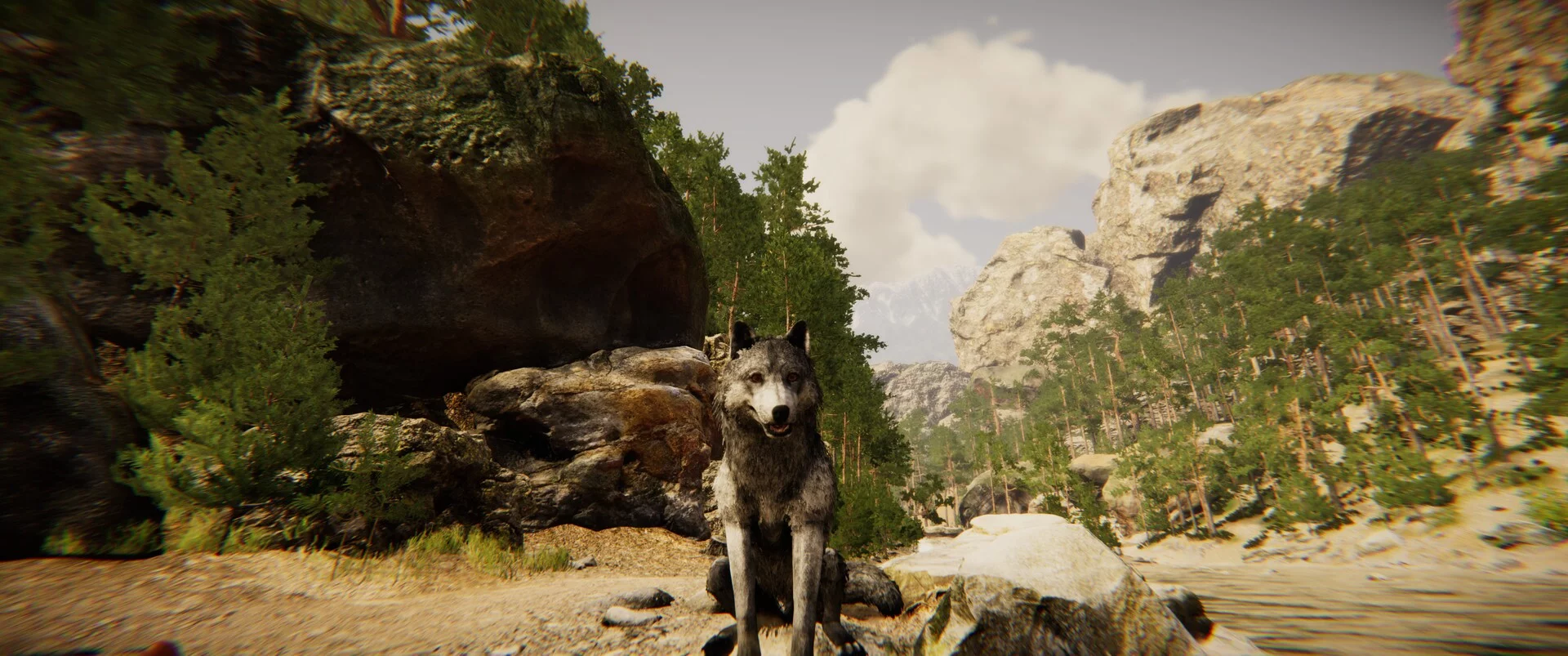 Изображение игры: Animal Simulator