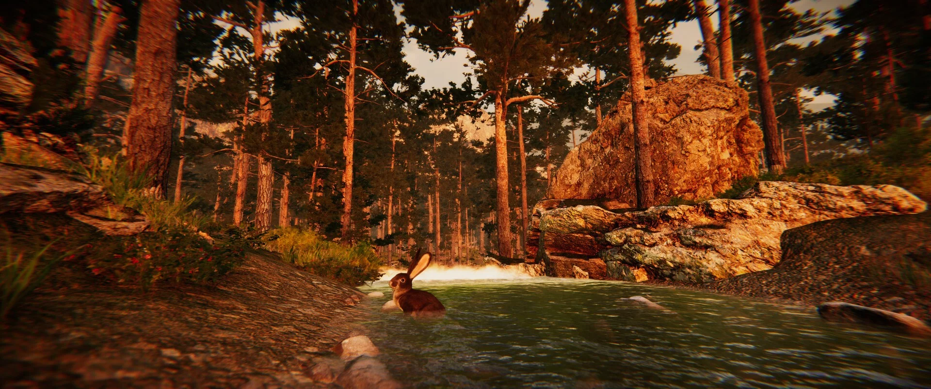 Изображение игры: Animal Simulator