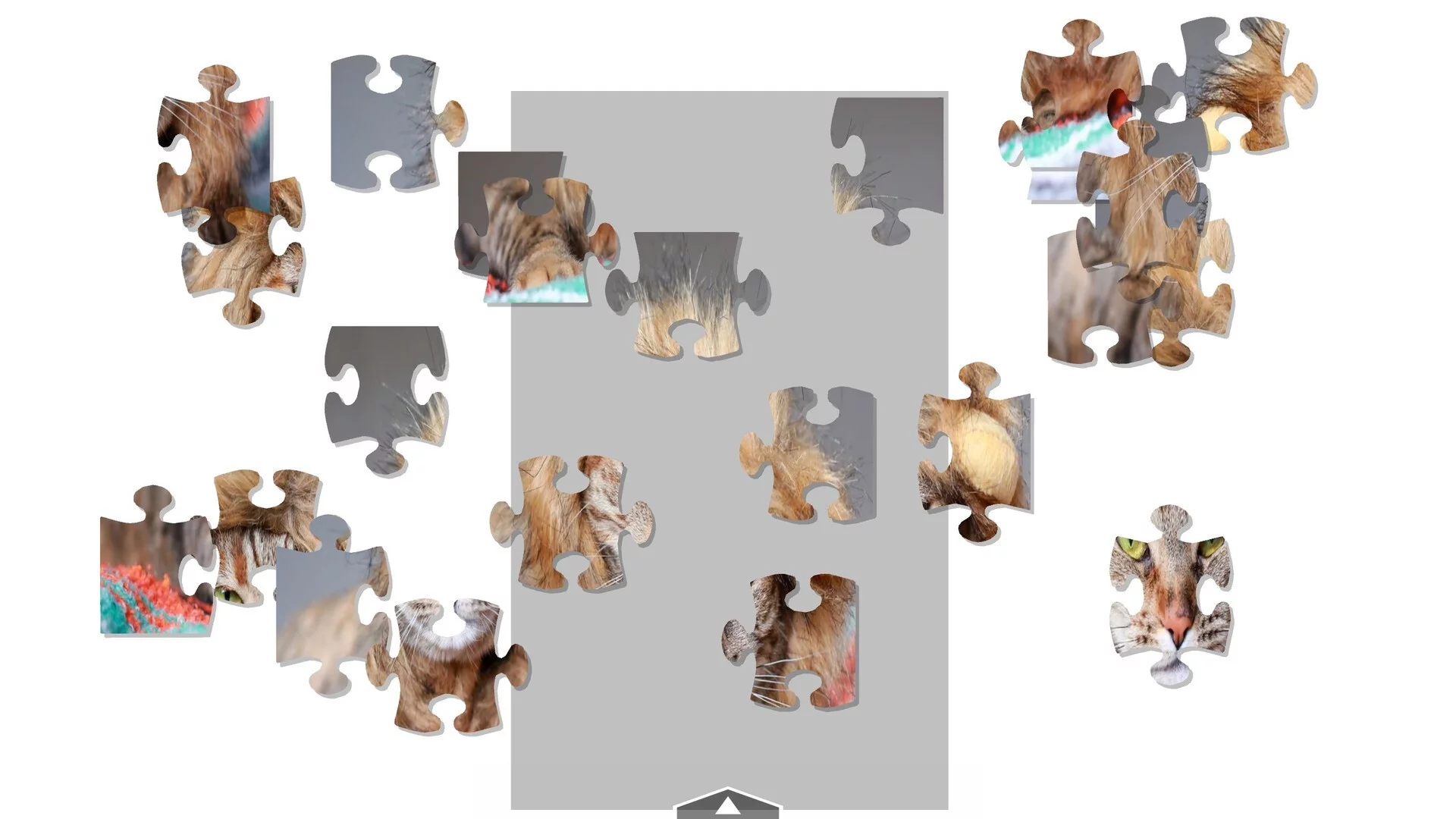 Изображение игры: Pussy Palace