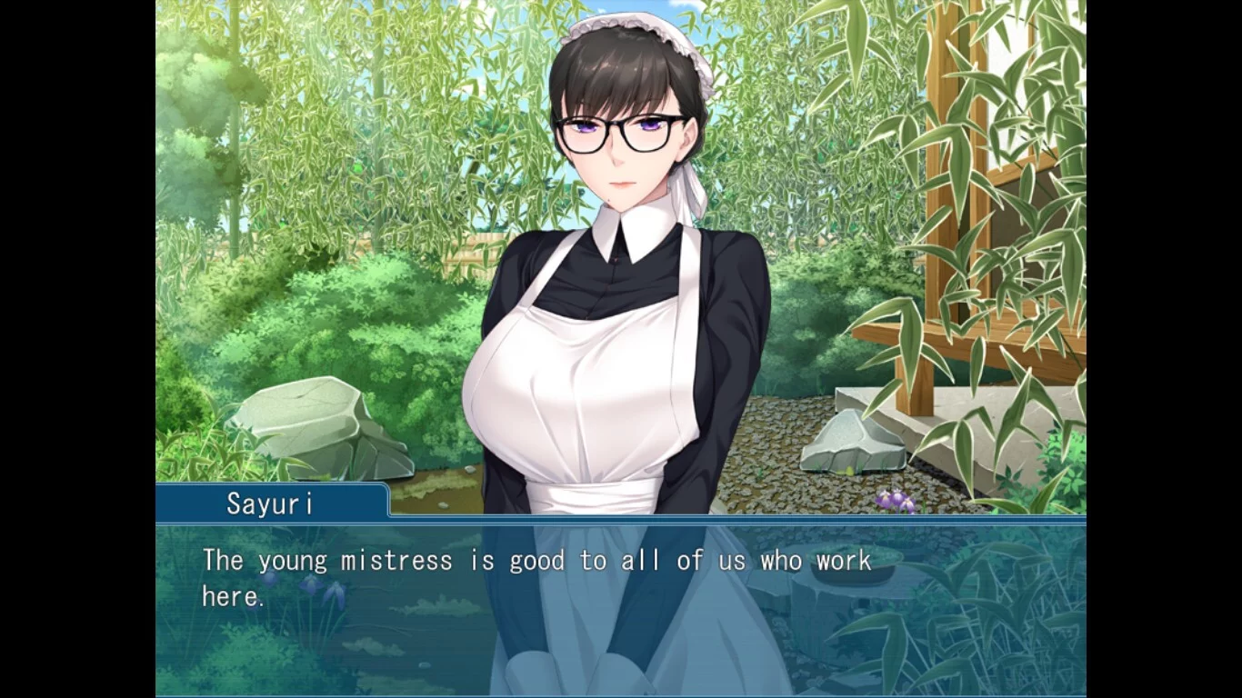 Изображение игры: The Modest Handmaid’s Sex Work ~I will be your partner in place of the young mistress~