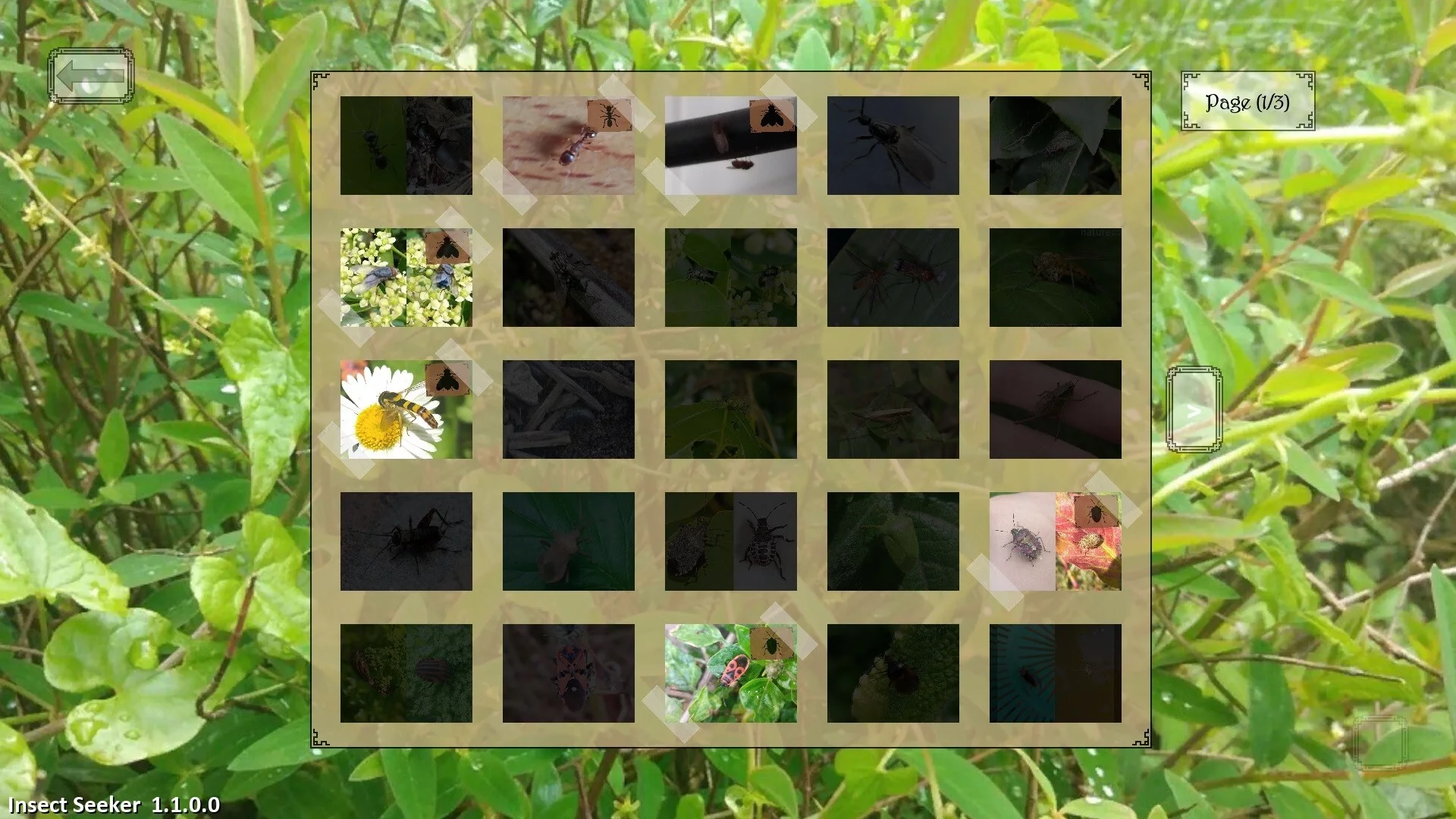 Изображение игры: Insect Seeker