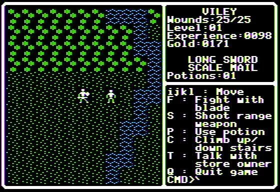 Изображение игры: Shadowforge