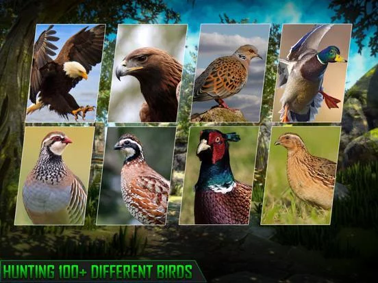 Изображение игры: Hunting Game 2021 Wild Animal
