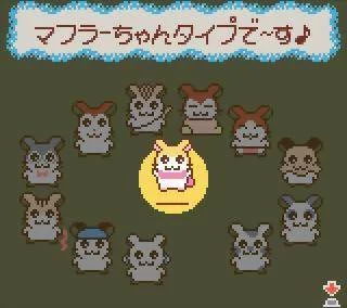 Изображение игры: Tottoko Hamtaro: Tomodachi Daisakusen Dechu