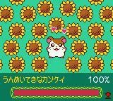 Изображение игры: Tottoko Hamtaro: Tomodachi Daisakusen Dechu