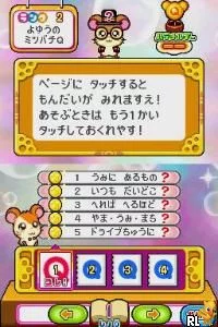Изображение игры: Tottoko Hamtaro Nazo Nazo Q Kumonoue no ? Jou