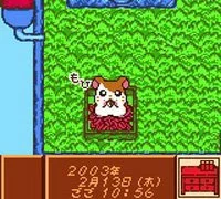 Изображение игры: Tottoko Hamtaro: Tomodachi Daisakusen Dechu