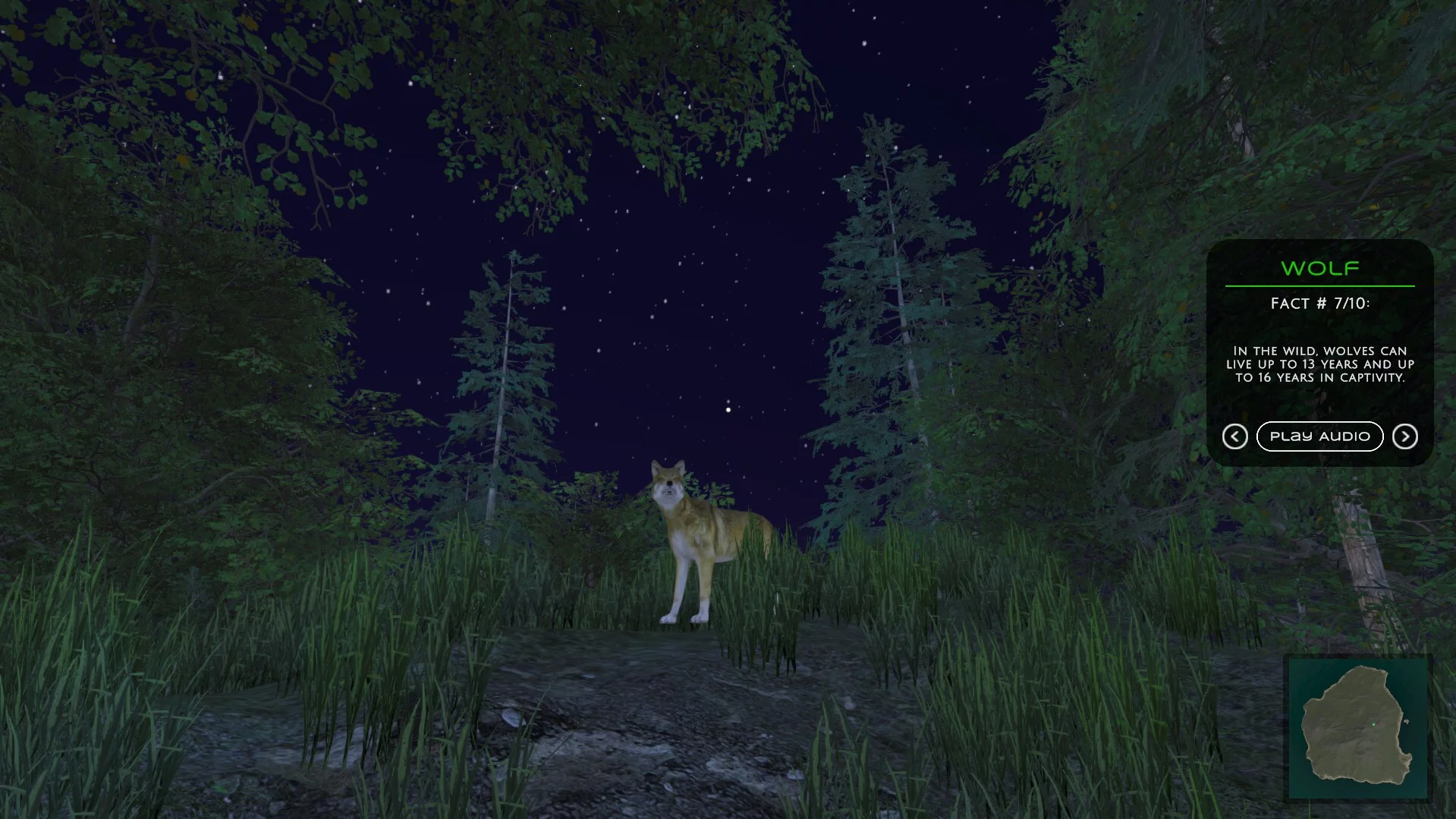 Изображение игры: In the Wild