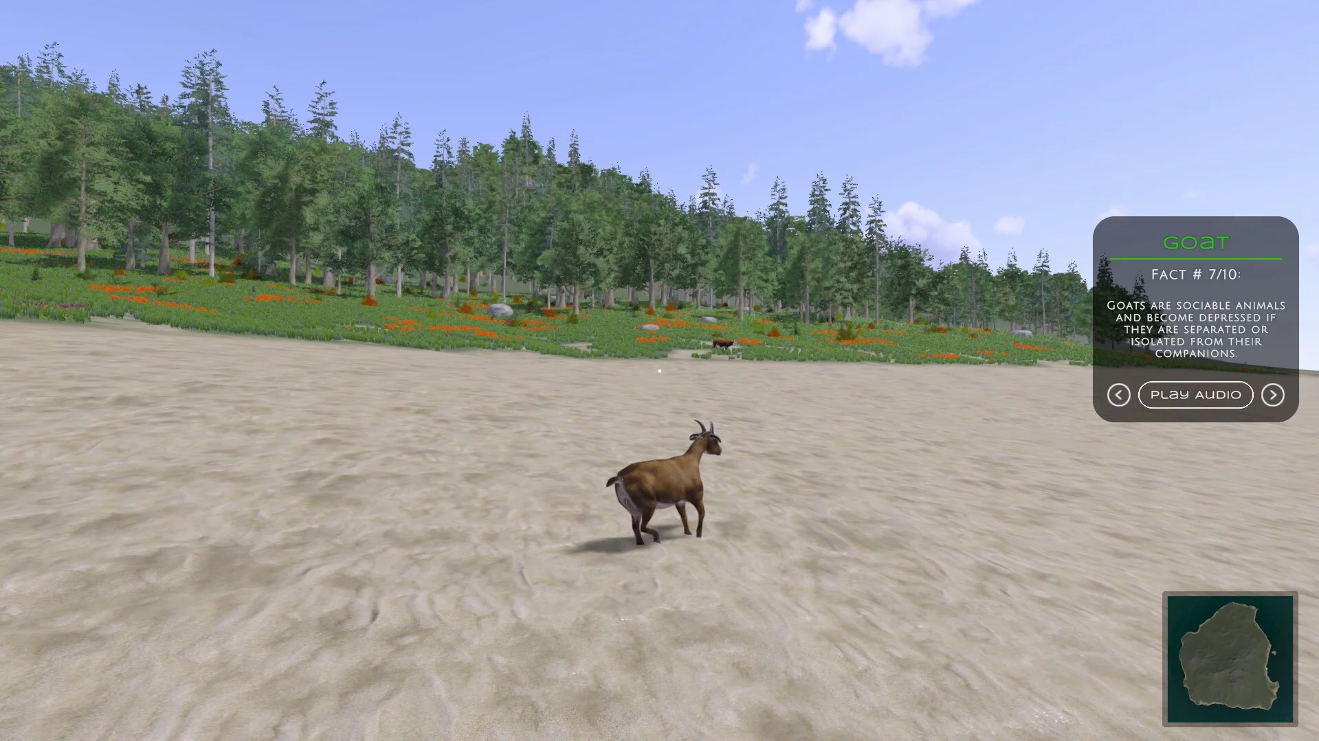 Изображение игры: In the Wild