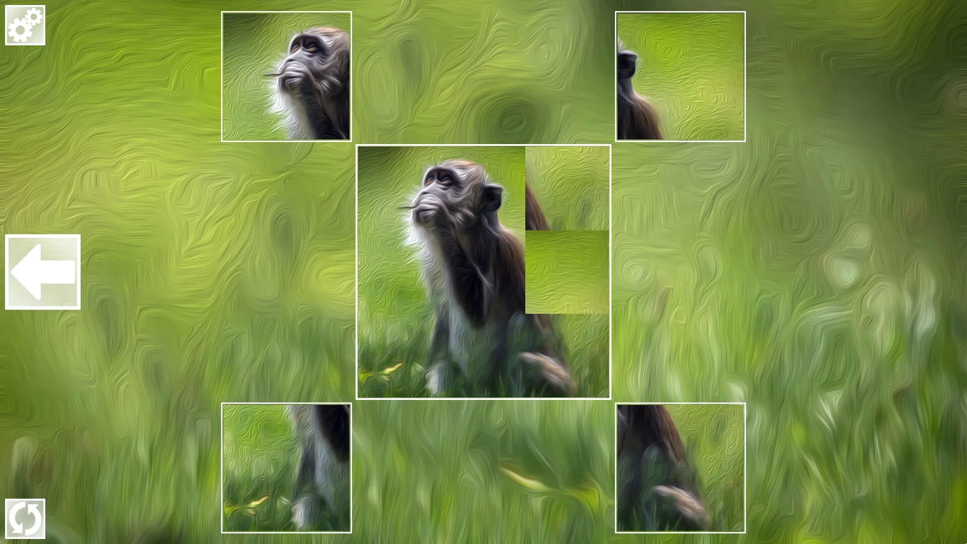 Изображение игры: Puzzle Art: Primates
