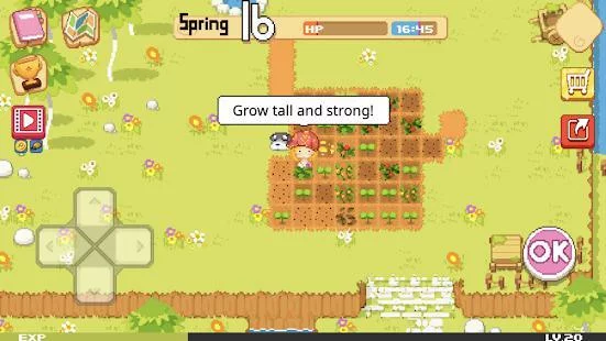 Изображение игры: The Farm : Sassy Princess