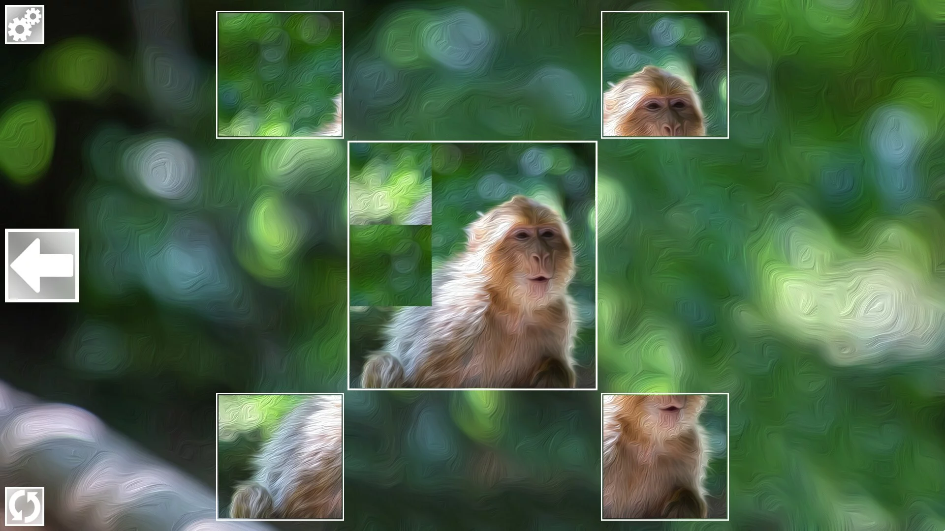 Изображение игры: Puzzle Art: Primates