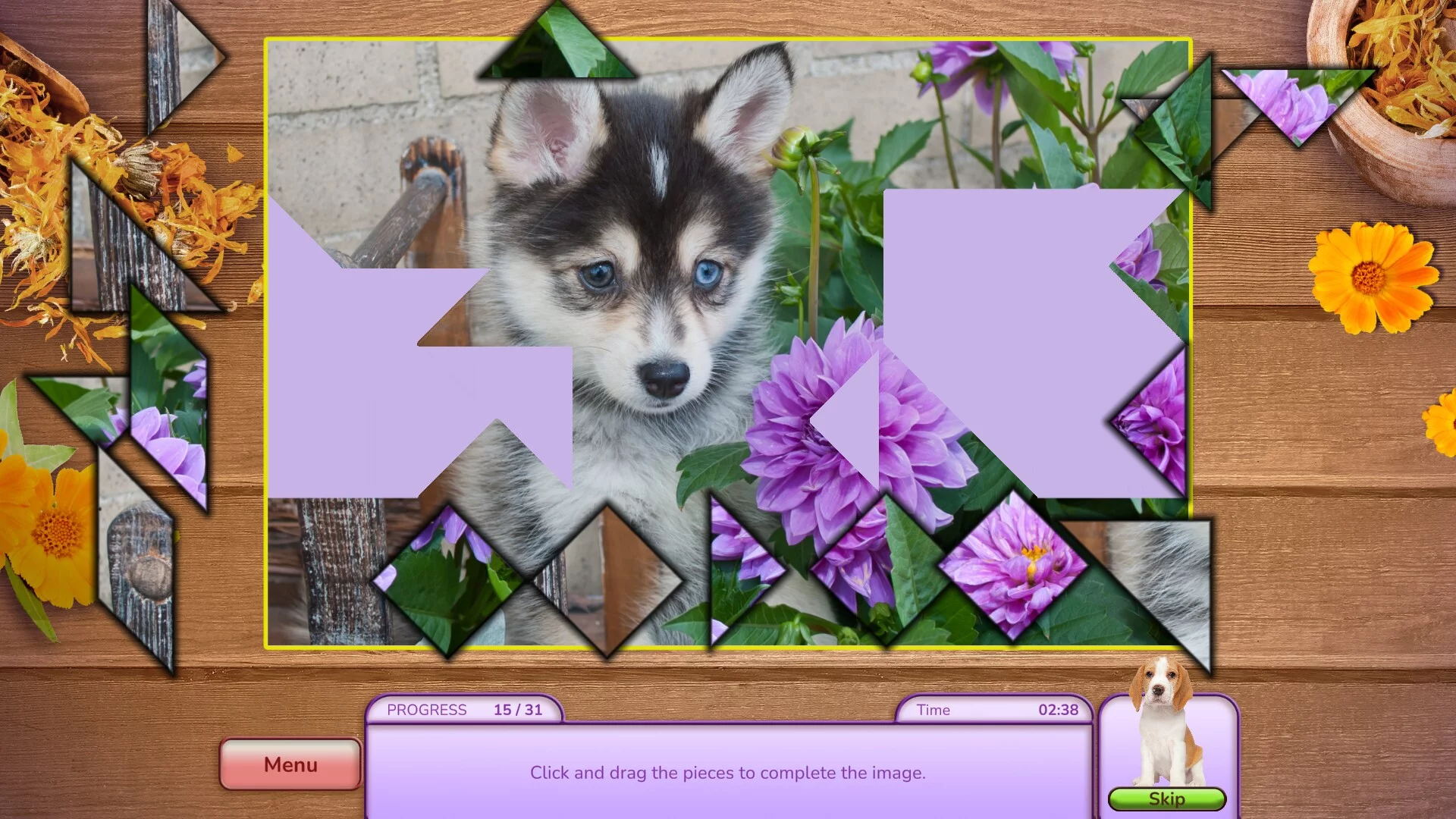 Изображение игры: I Love Finding Pups