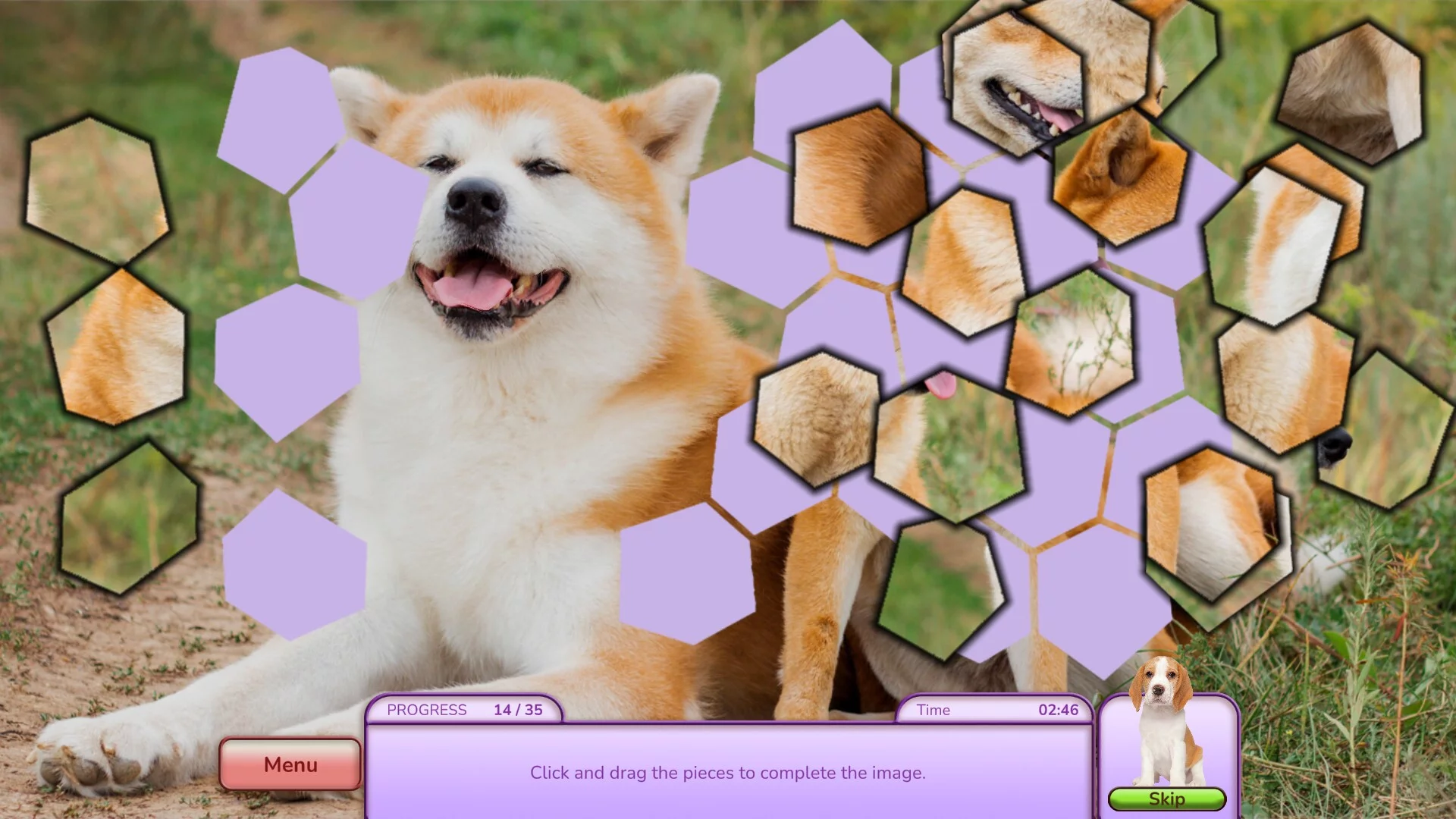 Изображение игры: I Love Finding Pups