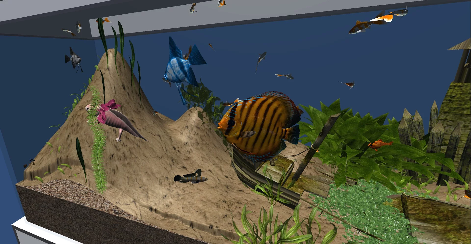 Изображение игры: Darwin's Aquarium
