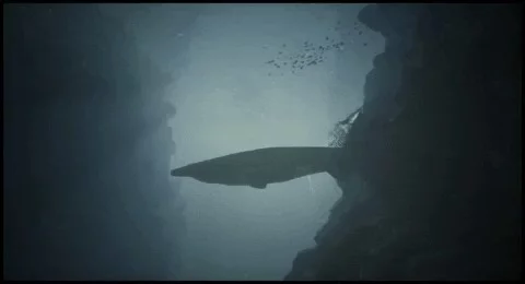 Изображение игры: The Depths: Prehistoric Survival