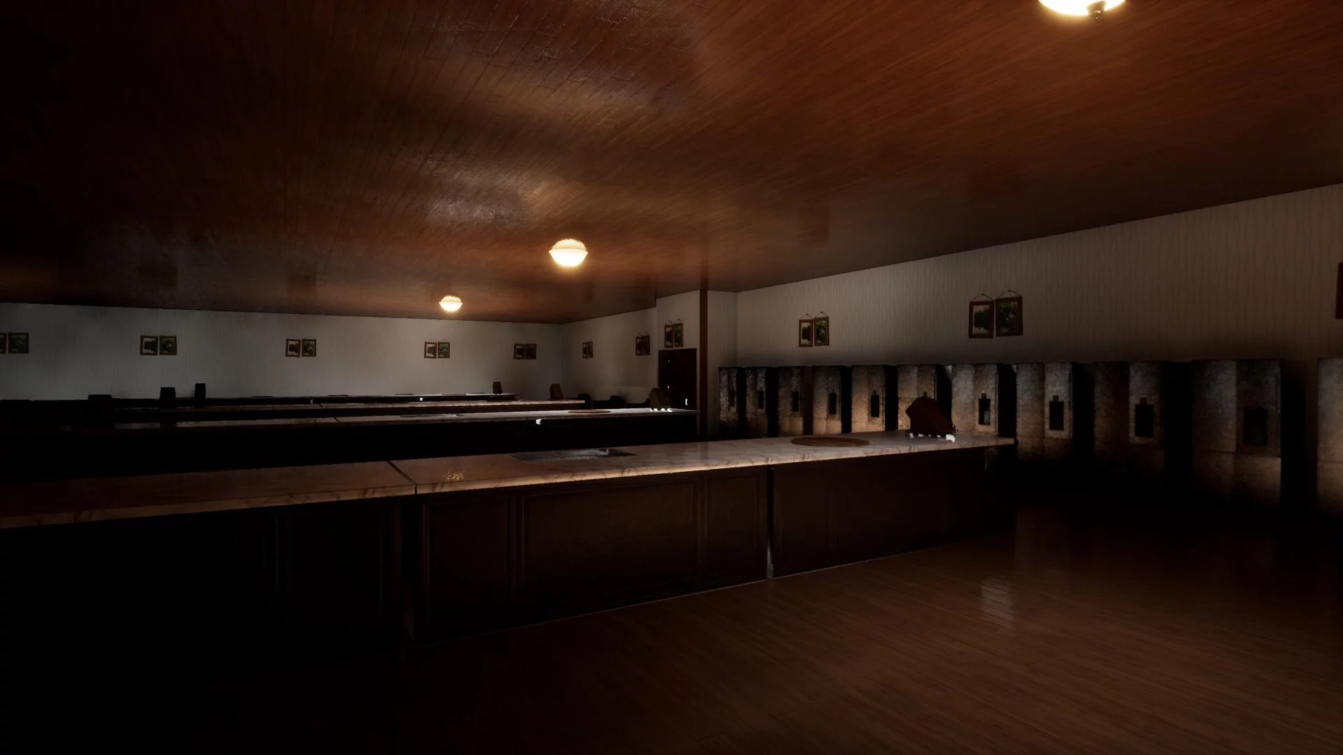Изображение игры: Hide Seek Survive
