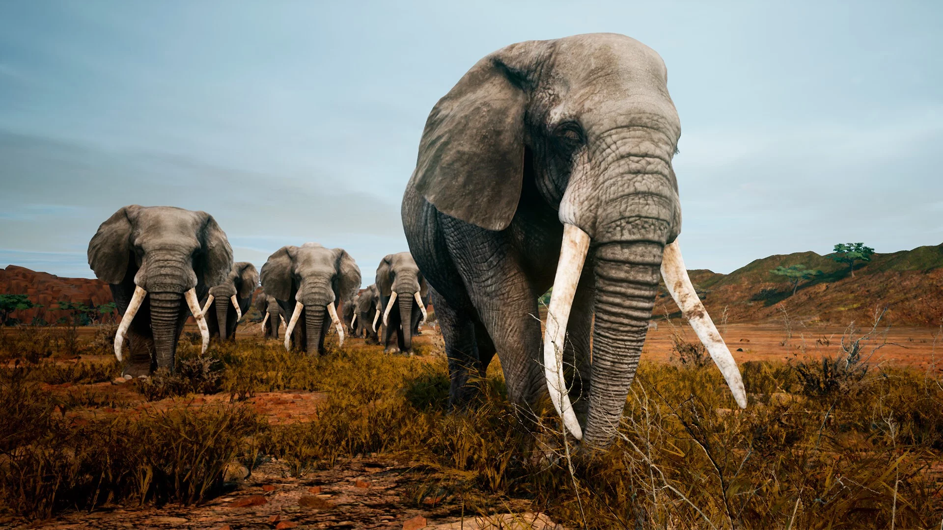 Изображение игры: Animalia Survival