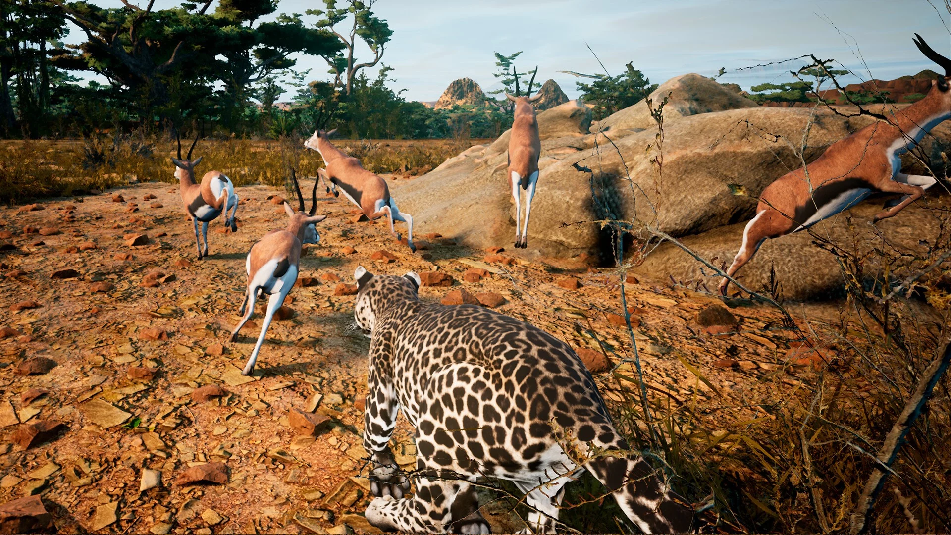 Изображение игры: Animalia Survival