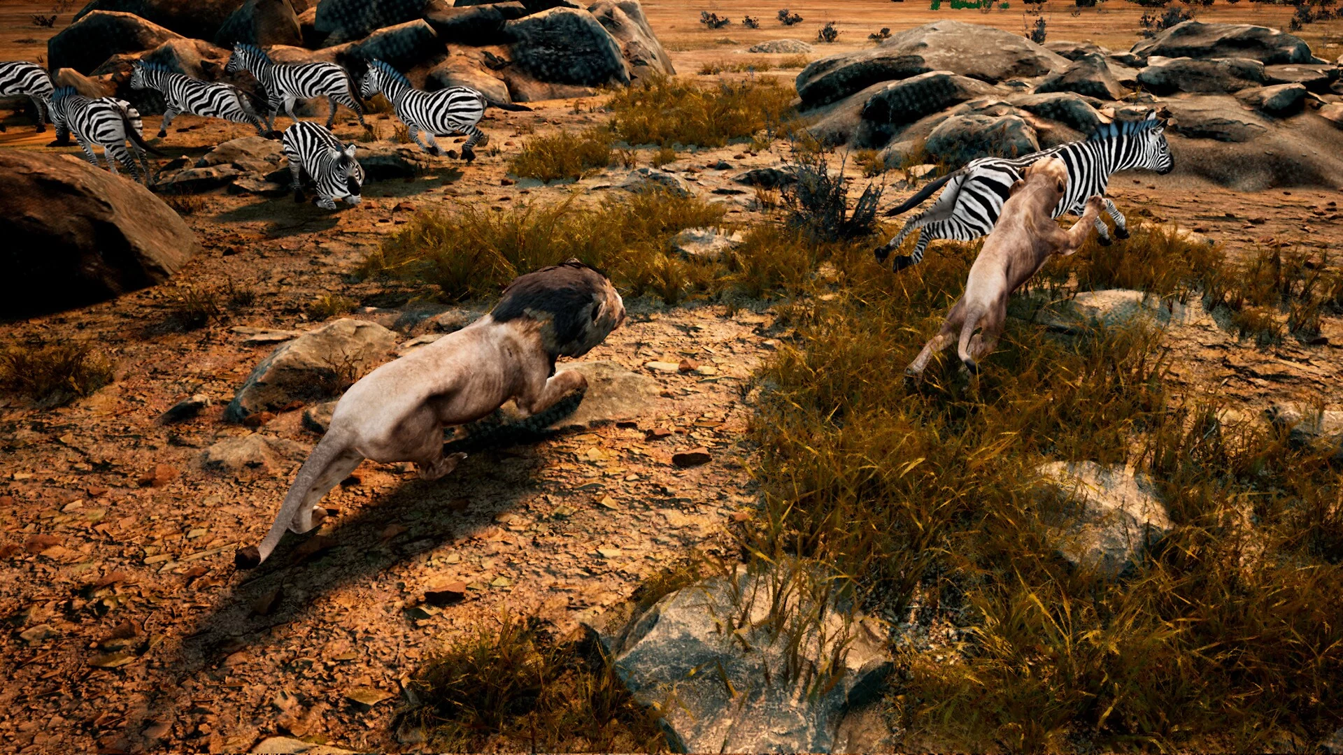 Изображение игры: Animalia Survival