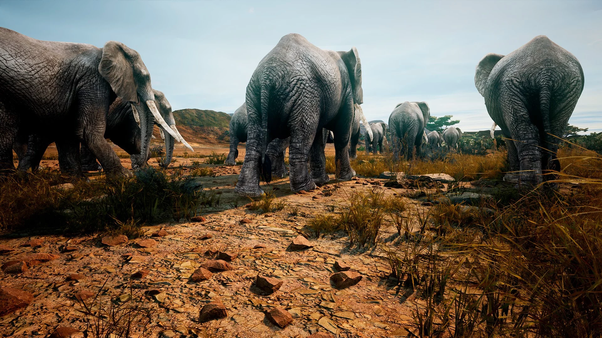 Изображение игры: Animalia Survival