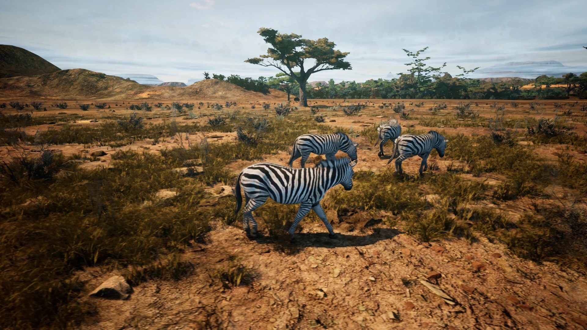Изображение игры: Animalia Survival