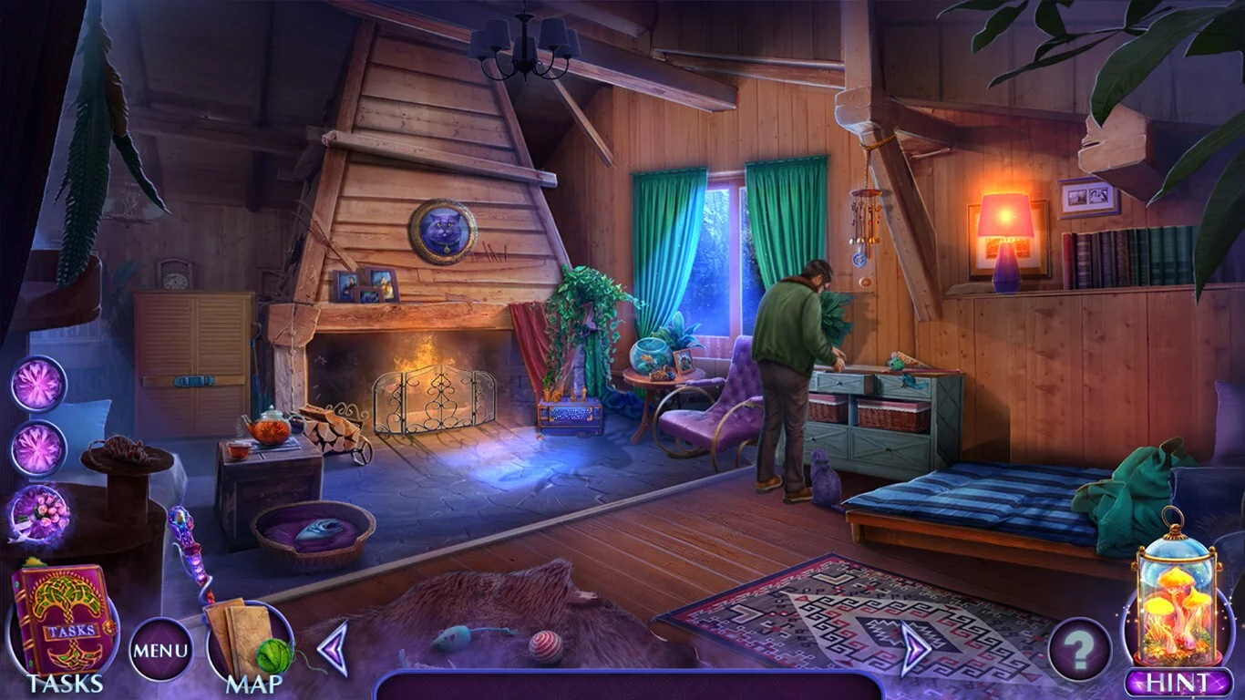 Изображение игры: Fairy Godmother Stories: Miraculous Dream Collector's Edition