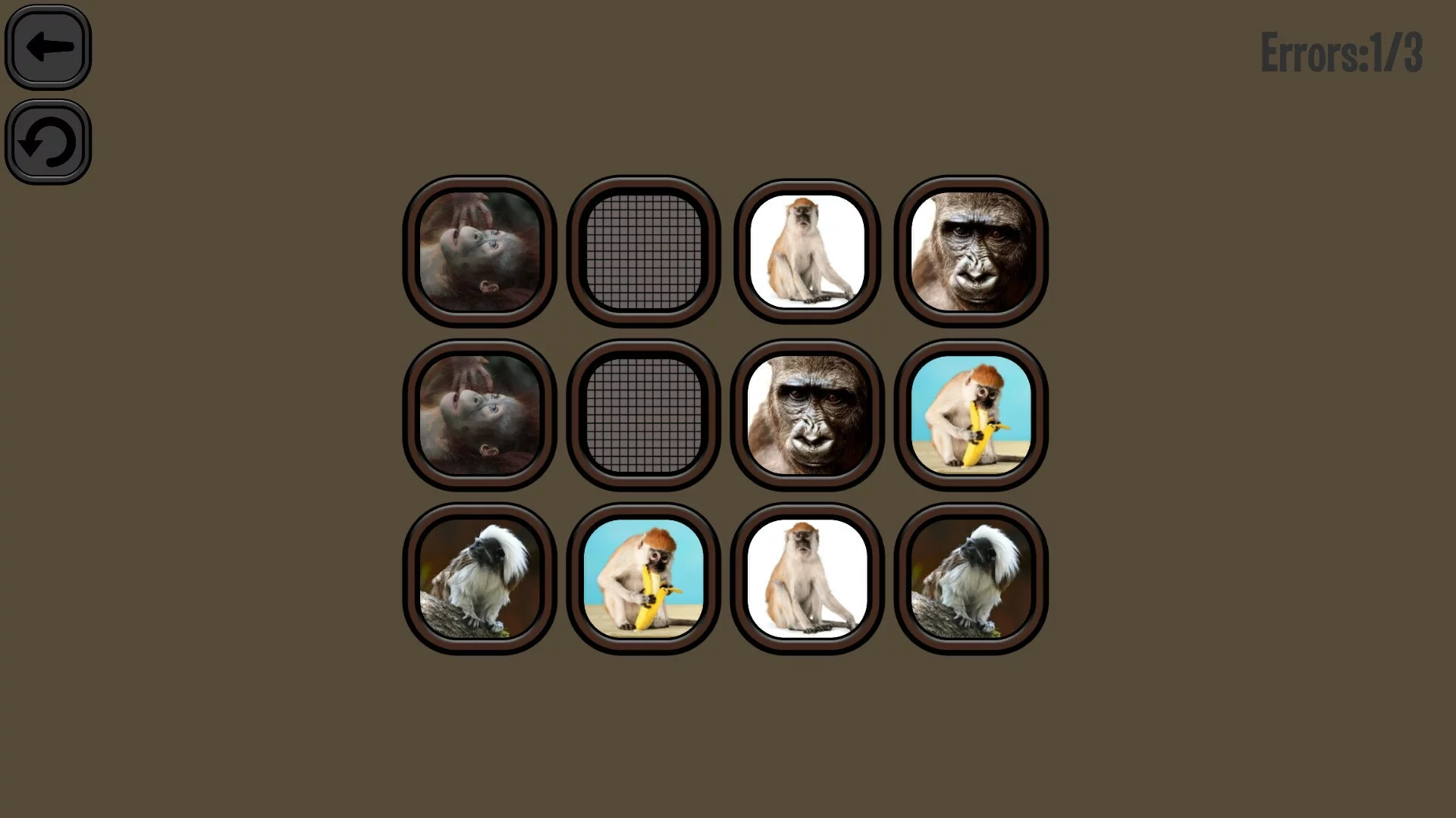 Изображение игры: Animals Memory: Monkeys